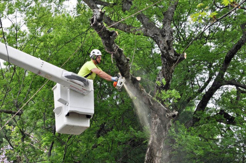 Complex Tree Maintenance