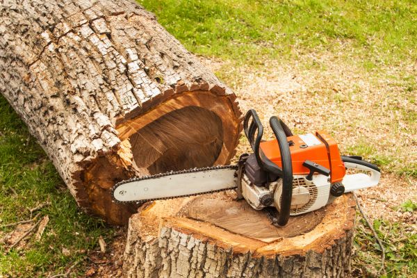 Tree Cutting Service in Douglasville